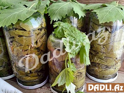 Üzüm yarpaqlarını belə saxlayın