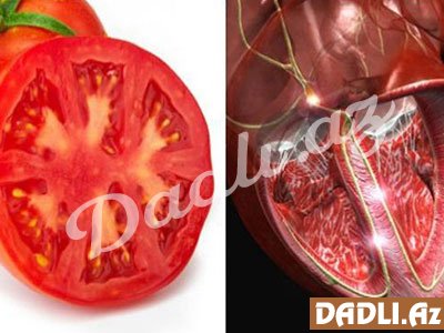 Orqanlarımıza oxşayan məhsullar bu orqanlar üçün ən faydalısıdır