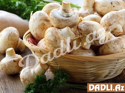 Şampinyon göbələyinin sağlamlığa inanılmaz faydası