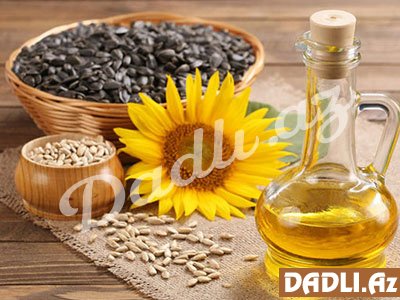 Bitki yağlarında xolesterin varmı?