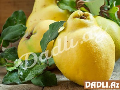 Ürəyin 1 nömrəli dostu — Heyvanın möcüzəvi faydaları