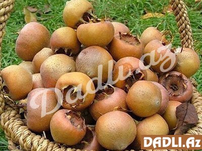 Bu yazını oxuyub əzgili daha çox xoşlayacaqsınız!