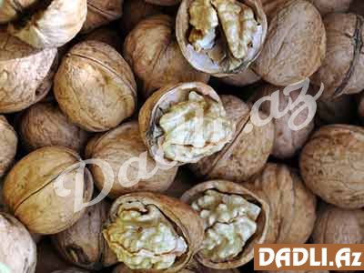 Uşaq hər gün 7 ədəd qoz yesə… - FAYDASI