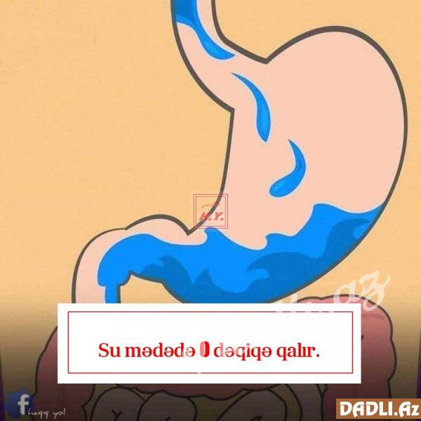 Mədə də qidaların qalma müddəti