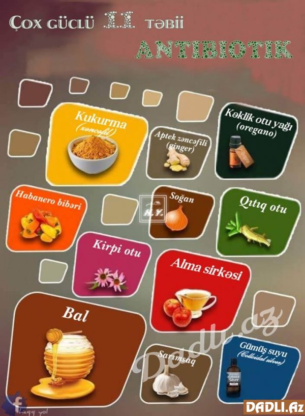 Çox güclü 11 təbii antibiotik