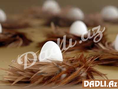 Yumurtanın sarısı əslində nə rəngdə olmalı?