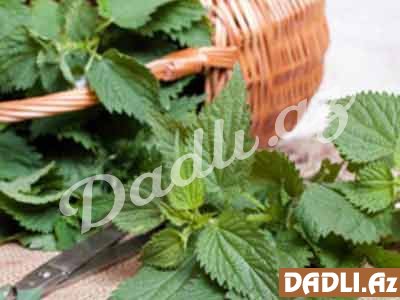 Gicitkənin faydaları