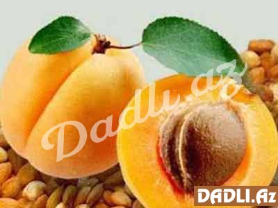 Ərik tumlarının faydaları