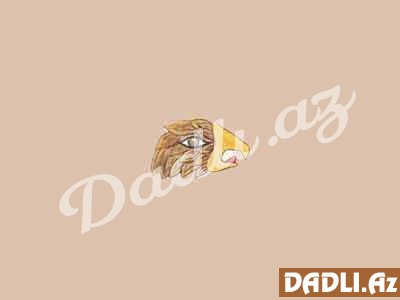 Maya bürcünüz və mənası - Qartal - Men