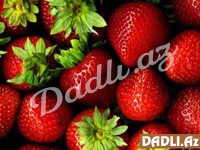 Çiyələyin təxminən 600 növü məlumdur və ölkəmizdə 6 növü yetişdirilir