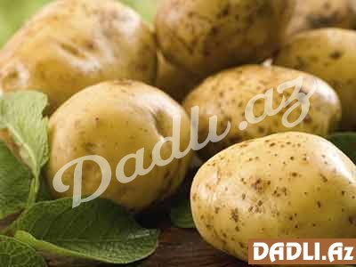 Kartof arıqladır! - Alimlər sübut edib