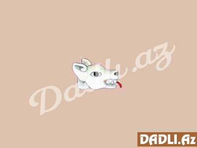 Maya bürcünüz və mənası - Köpək - Oc