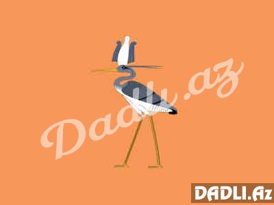 Misir bürcünüz və mənası - Feniks