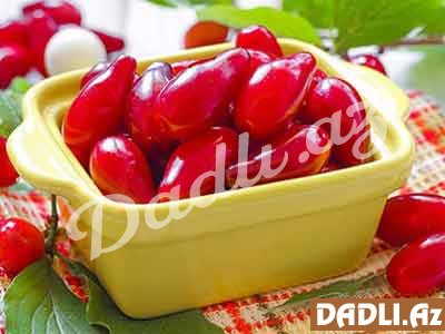 Müalicəvi giləmeyvə ZOĞAL. 7 FAYDASI