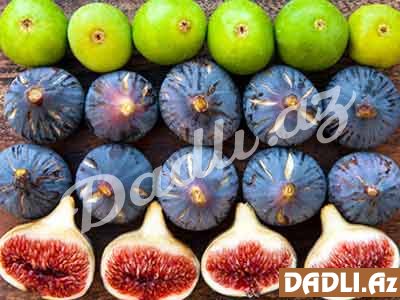 Əncir bu 3 XƏSTƏLİYİ müalicə edir