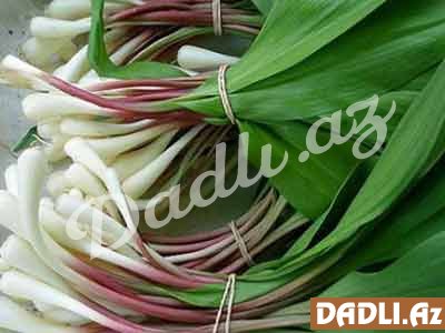 Ayı sarımsağı qocalığı ləngidir