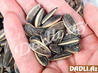 Sağlam olmaq istəyənlər TUM ÇIRTLASIN