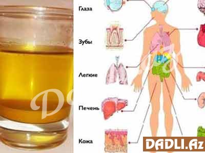 Hər gün SARIKÖK SUYU içəndə orqanizmdə nə baş verir? İNANILMAZ FAYDALAR