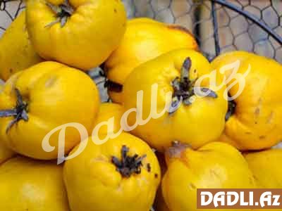 Heyvanın qabığındakı FAYDALAR