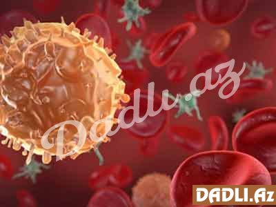 Xərçəngin qarşısını alan ƏN TƏSİRLİ MƏHSULLAR müəyyən edildi