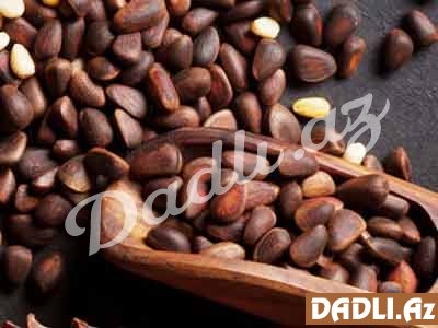 Sidr qozu - TƏBİİ DƏRMAN