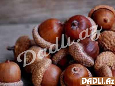 Palıd qozası faydaları