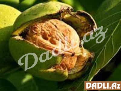 Qozun bir çox xəstəliklərə faydası