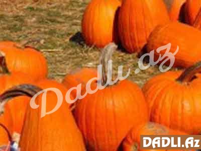 Sağlam qida - Balqabaq