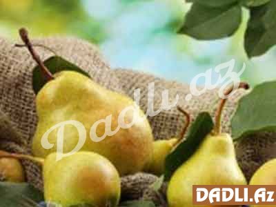 Adi armud faydaları