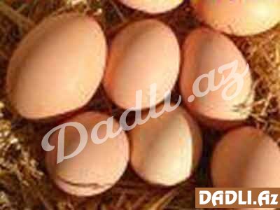 Yumurtanın faydaları və zərəri