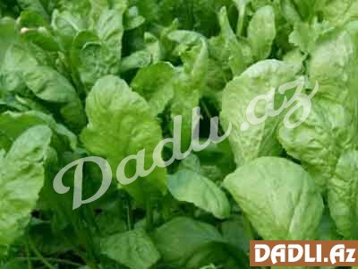 Bu göyərti qan xərçəngindən qoruyur