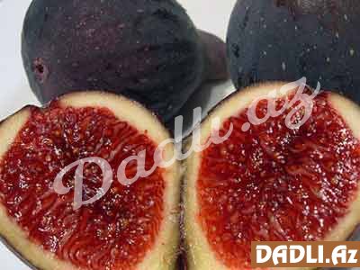 Qara əncir - təbii dərman