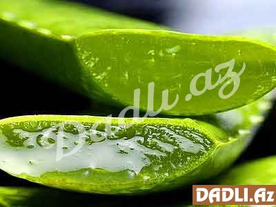 Möcüzəvi Aloe vera