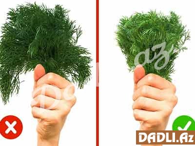 Gündəlik istifadə etdiyiniz ərzaqların keyfiyyətinin yoxlanması -Göyərti