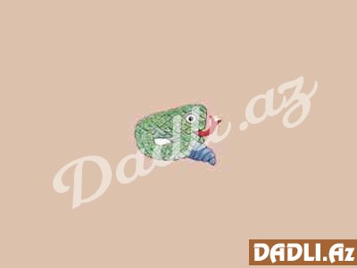 Maya bürcünüz və mənası - İlan - Chicchan