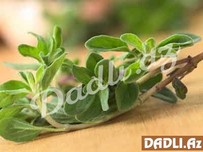 Mərzənin çox zəngin kimyəvi tərkibi var