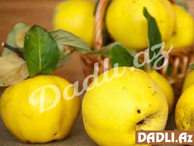 Heyvanın faydaları