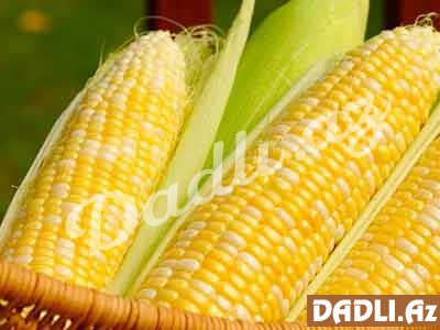 Qarğıdalının faydaları