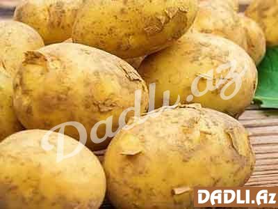 Kartofun faydaları və zərərləri