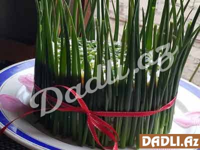 Səməni salatı resepti