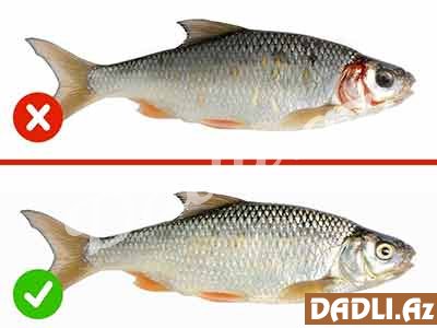 Gündəlik istifadə etdiyiniz ərzaqların keyfiyyətinin yoxlanması -Balıq