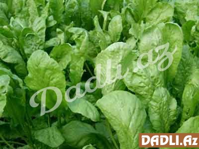 Vəzərinin faydaları