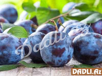 Qara gavalının faydaları