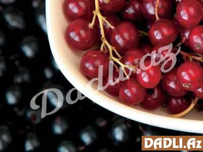 Qara və qırmızı qarağat