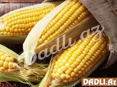 Qarğıdalının faydaları