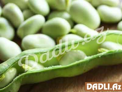 Lobyanın faydaları