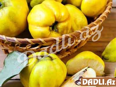 Heyvanın tərkibi və müalicəvi xüsusiyyətləri