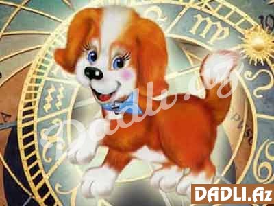 2018-ci il kimlərə xoşbəxtlik gətirəcək? - Şərq təqvimi üzrə PROQNOZ