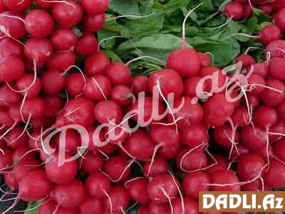 Qırmızı turpun faydaları