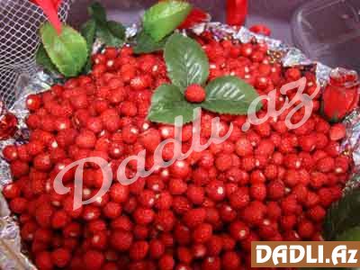 Pomidor alarkən nələrə diqqət etməli?